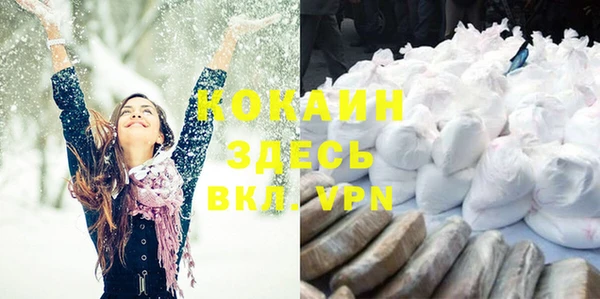 мдпв Кинешма